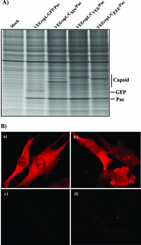 FIG. 5.