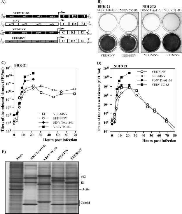 FIG. 8.