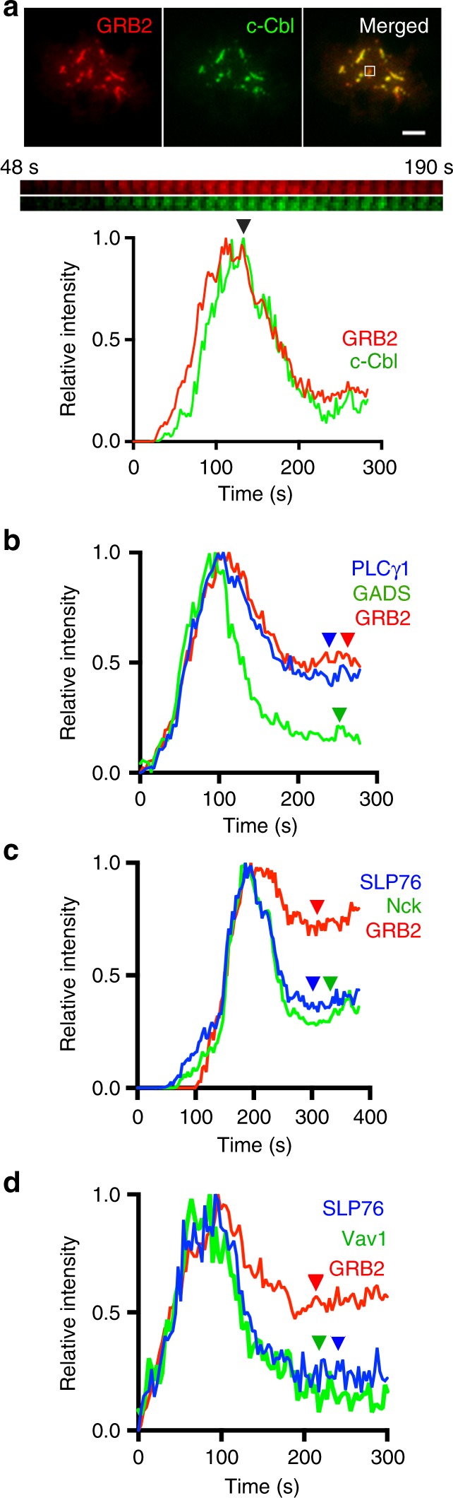 Fig. 4