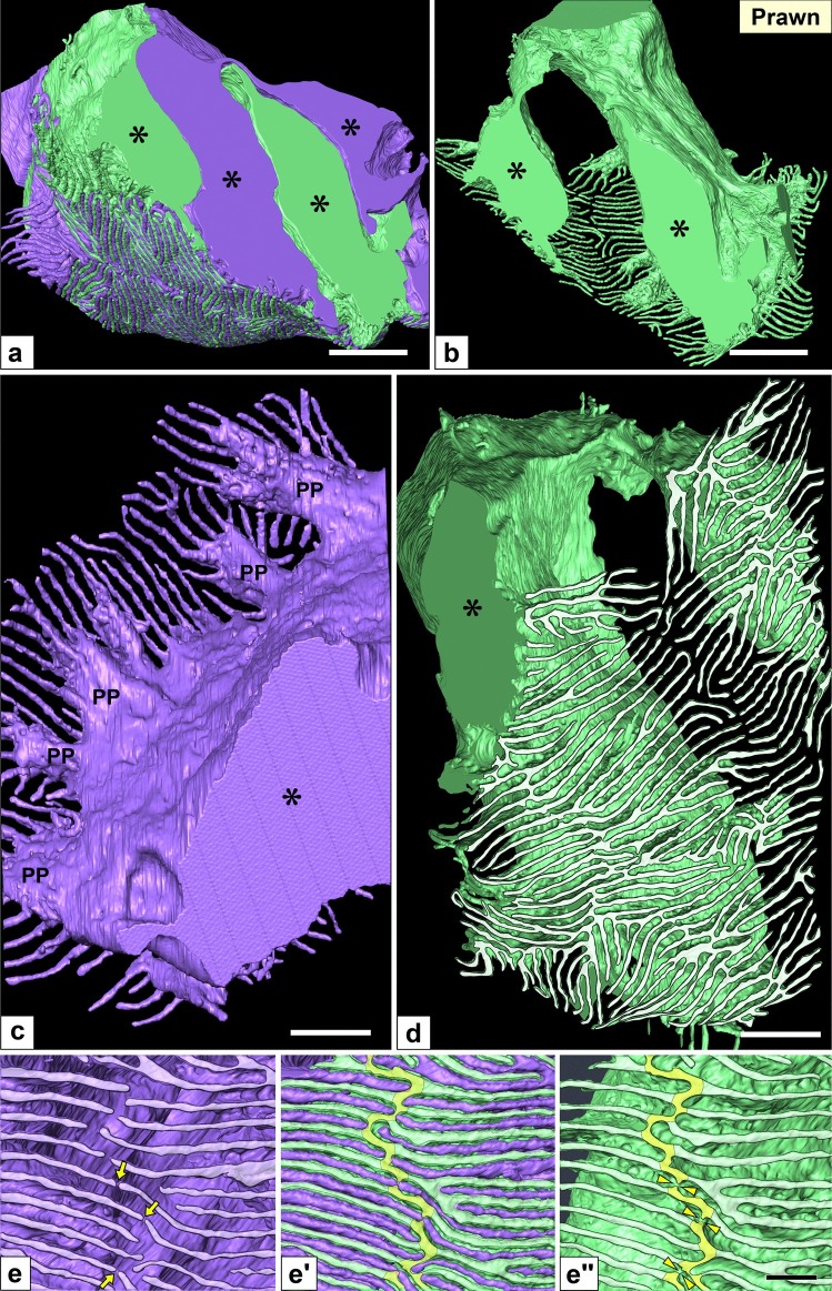 Fig. 9