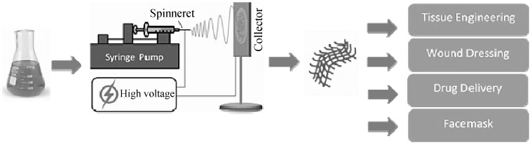 Fig. 1. 