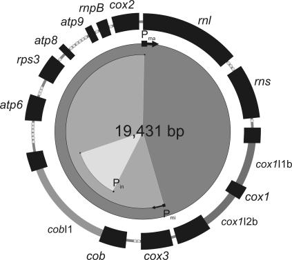 FIGURE 1.