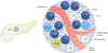 Fig. 4 |