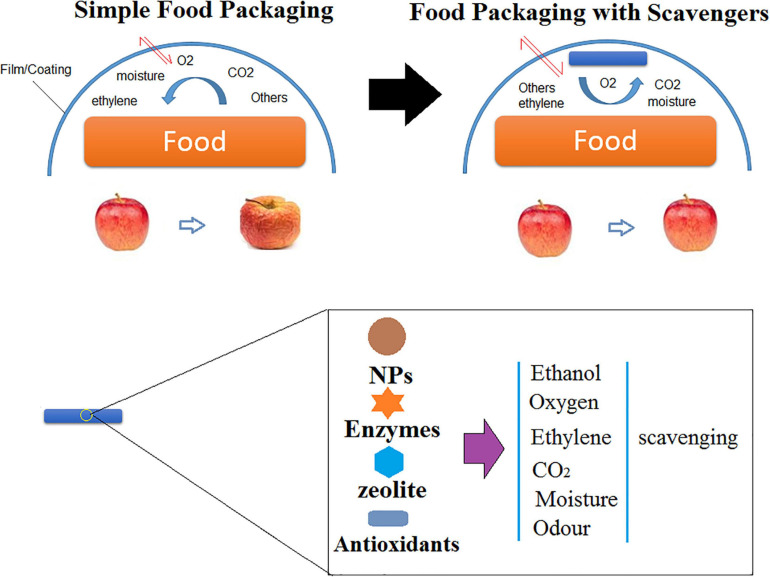 FIGURE 6