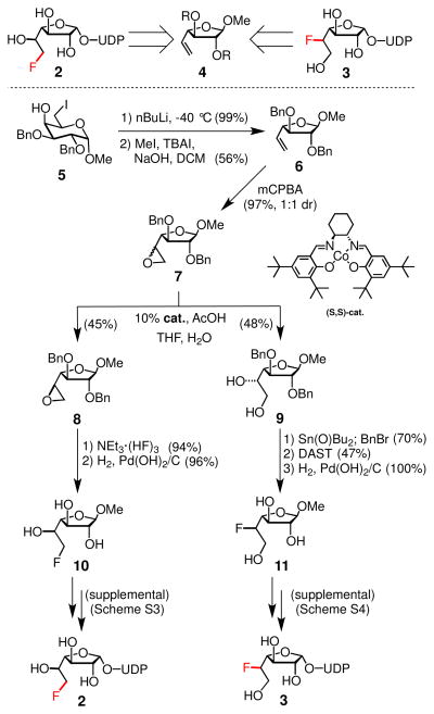 Scheme 1