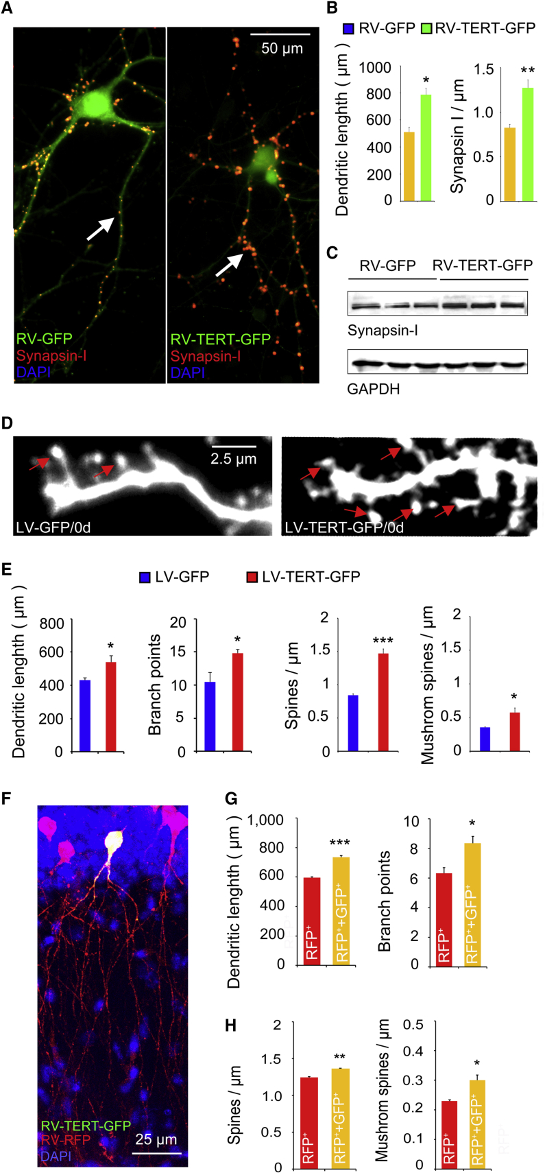 Figure 4