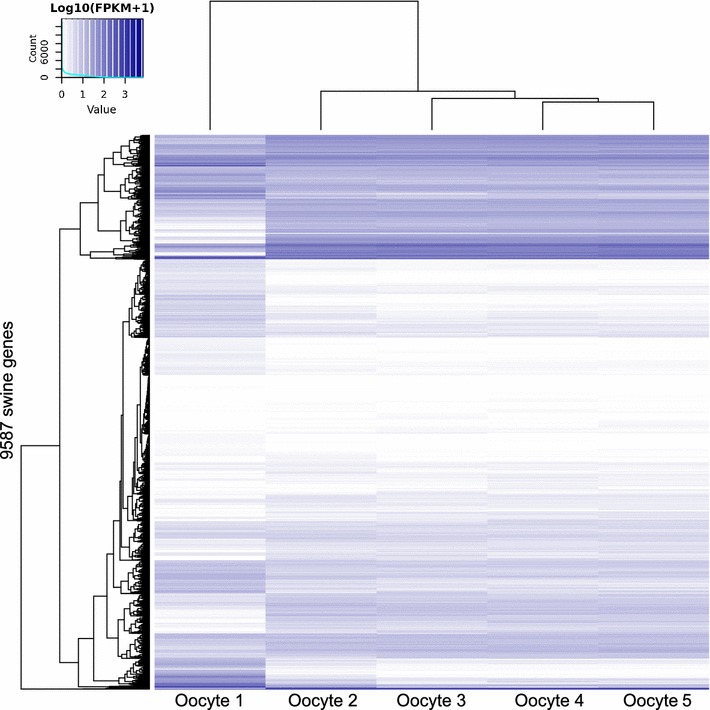 Fig. 2