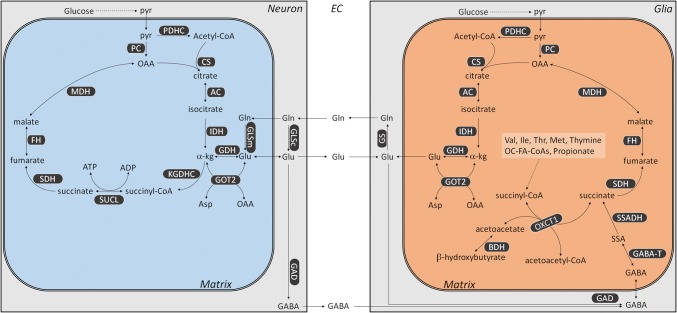 Fig. 19