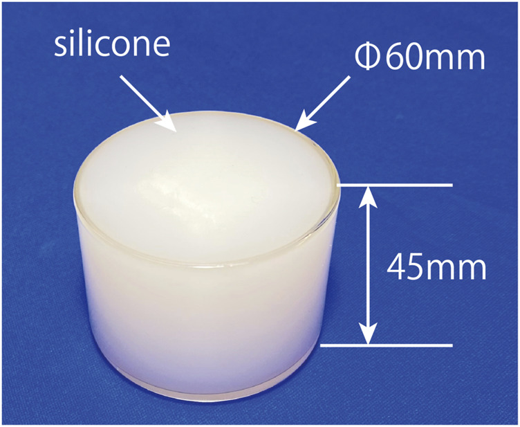 FIGURE 5