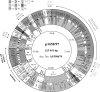 FIG. 2.