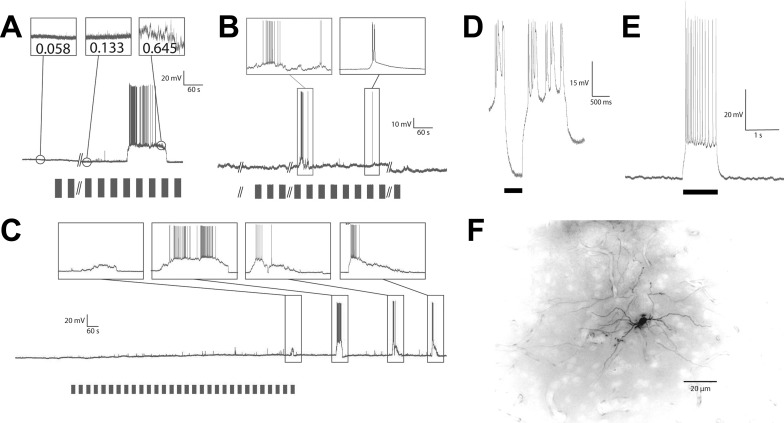 Fig. 3.