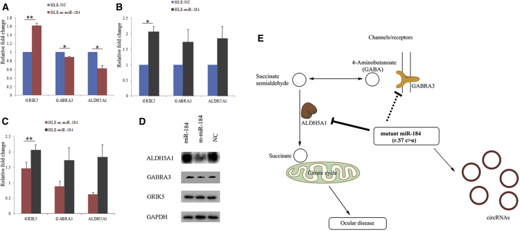 Figure 5