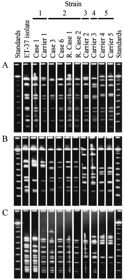 FIG. 1