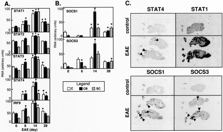 Figure 10.