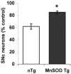 Fig.6