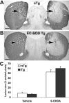 Fig.7