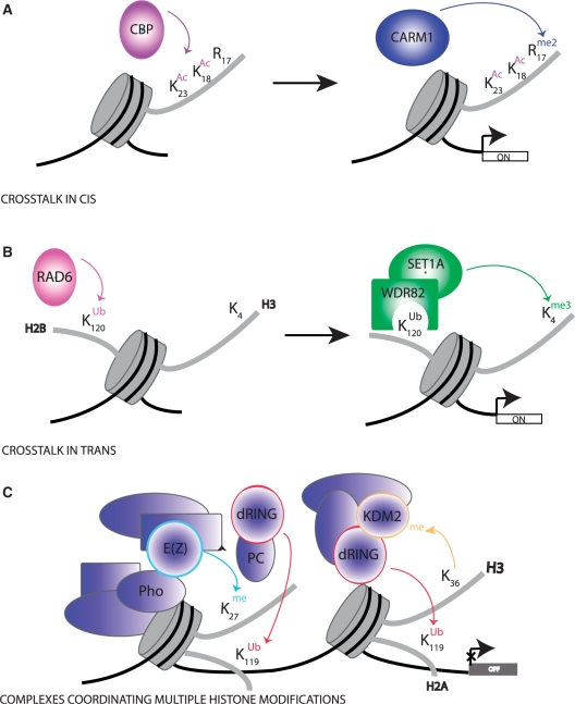 Figure 1: