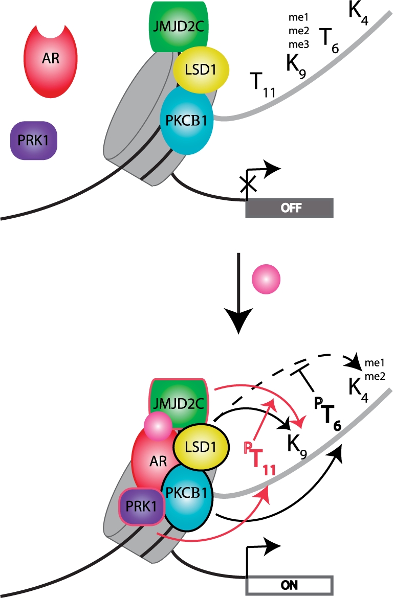 Figure 2: