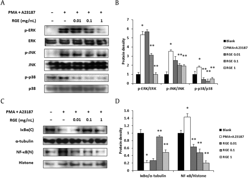 Fig. 7