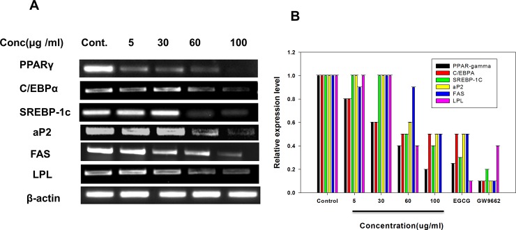 Fig 8