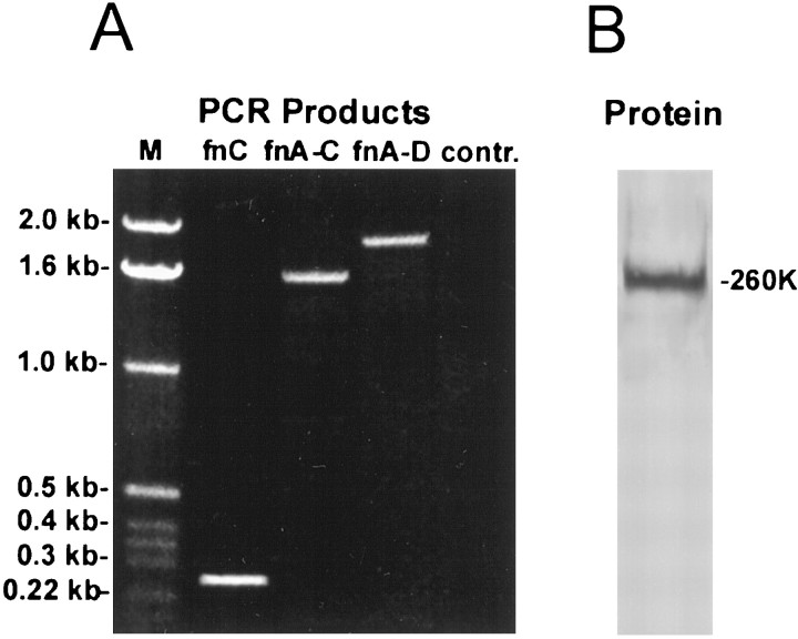 Fig. 9.