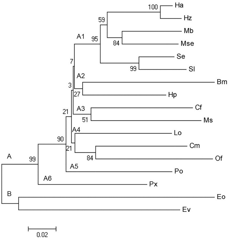 FIGURE 2