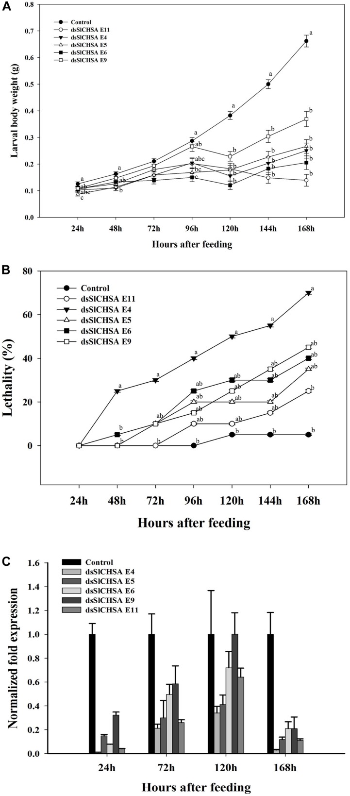 FIGURE 6