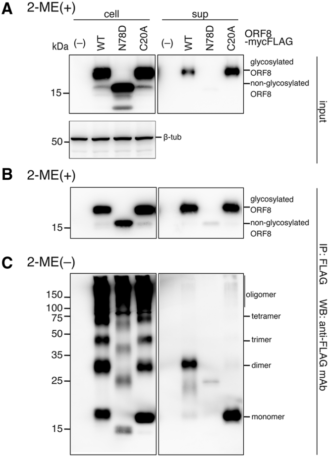 Figure 3