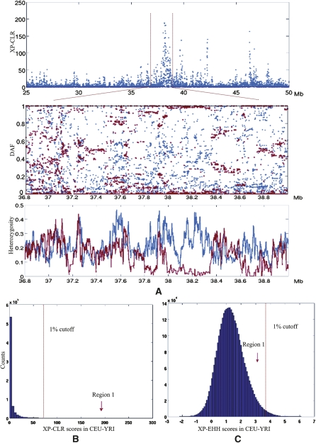 Figure 7.