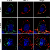 FIG. 3.