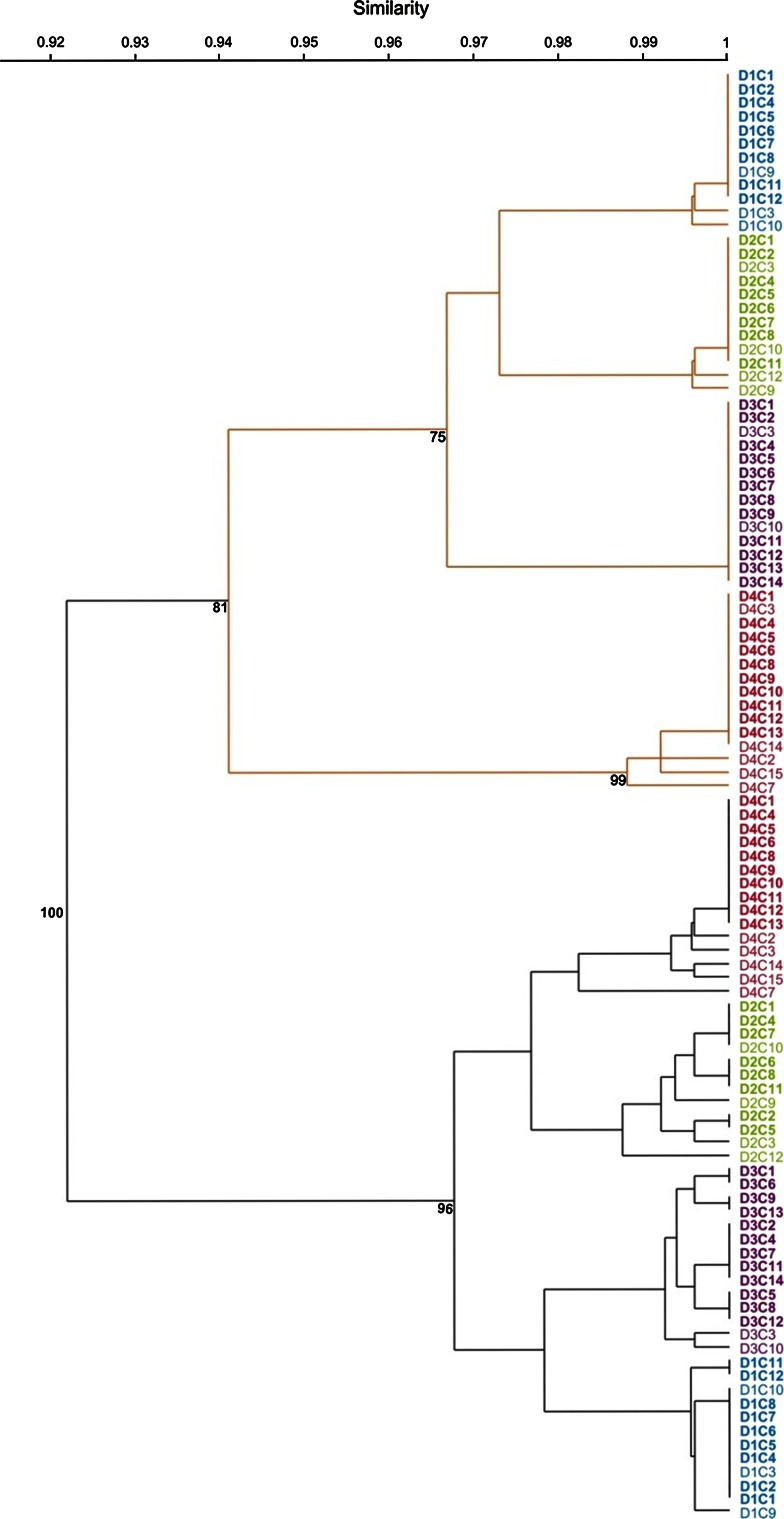 Fig. 1