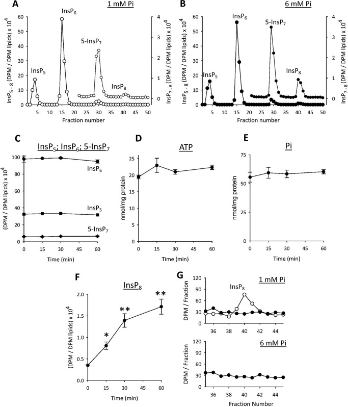 FIGURE 9.