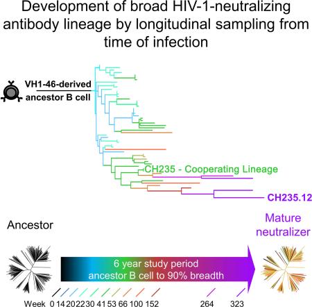 graphic file with name nihms-766421-f0001.jpg