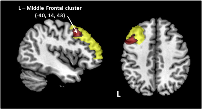 Fig. 4