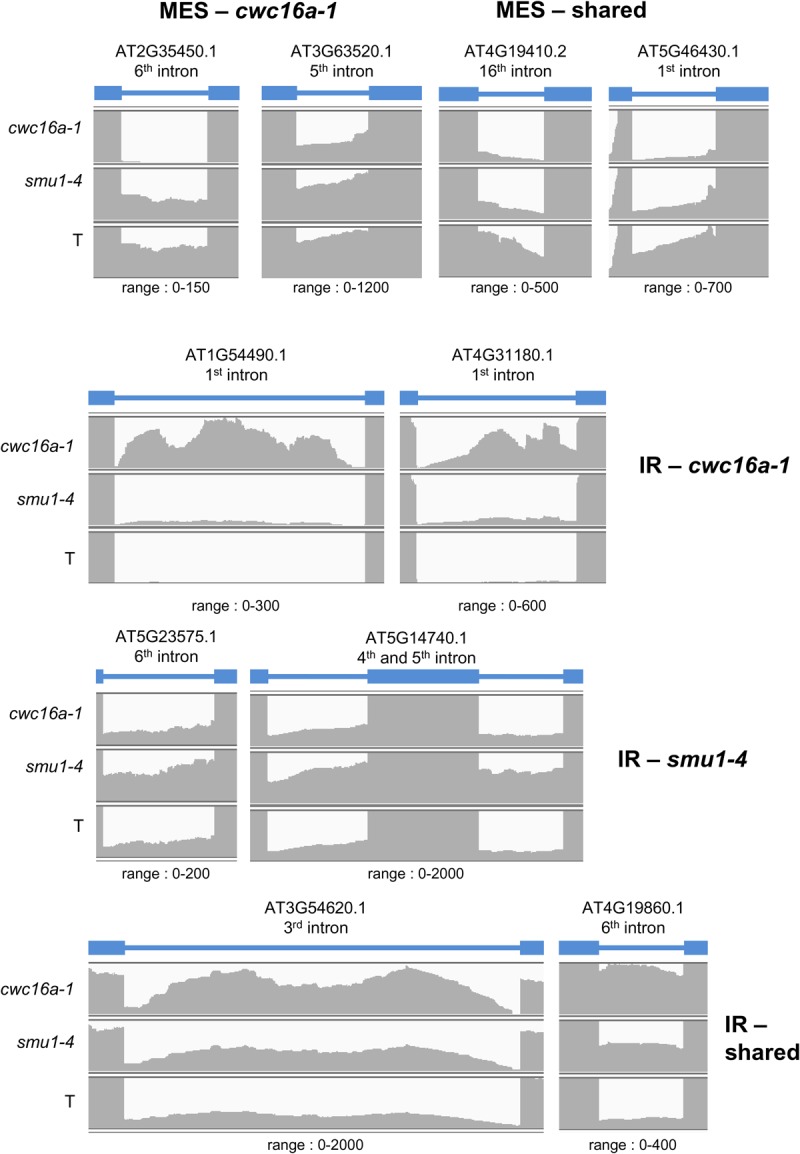 FIGURE 7.