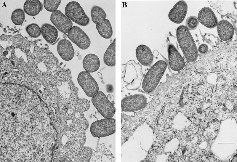 FIG. 8