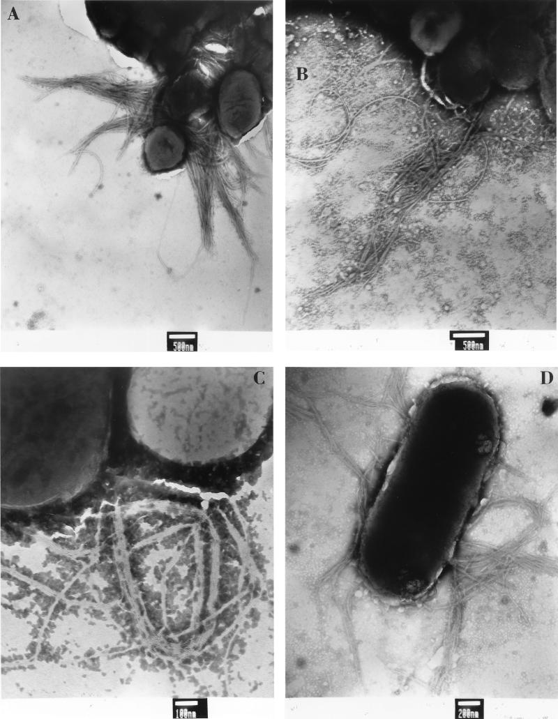 FIG. 5