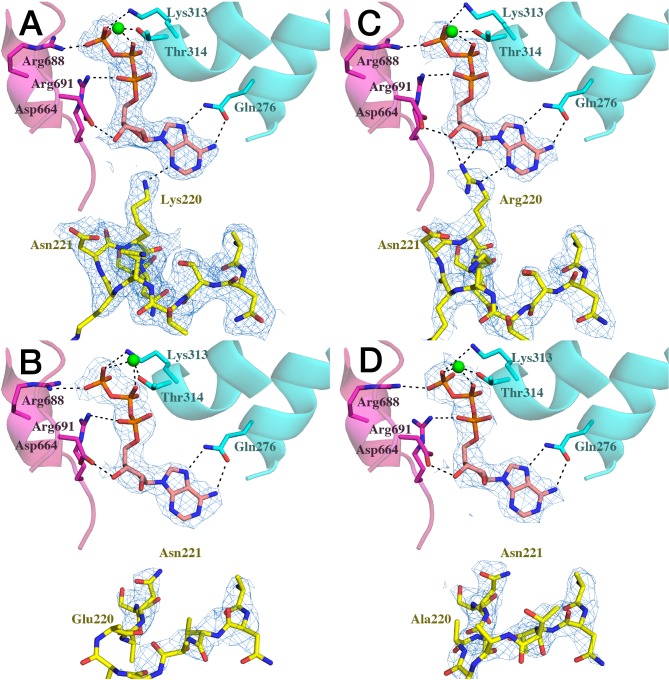 Fig 6