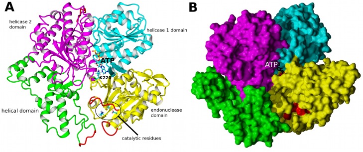 Fig 1