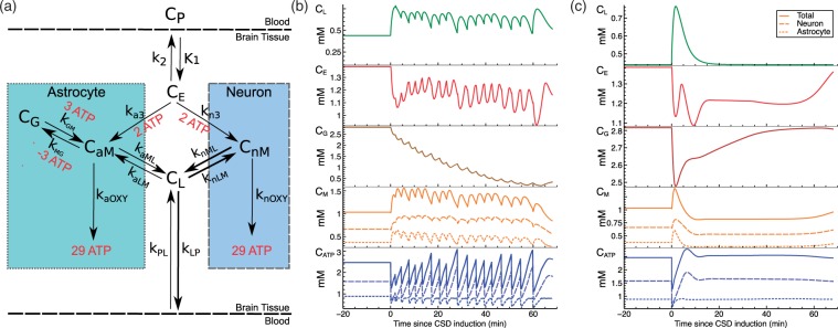 Figure 2.