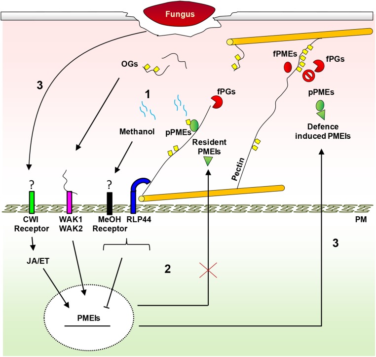 Figure 12.