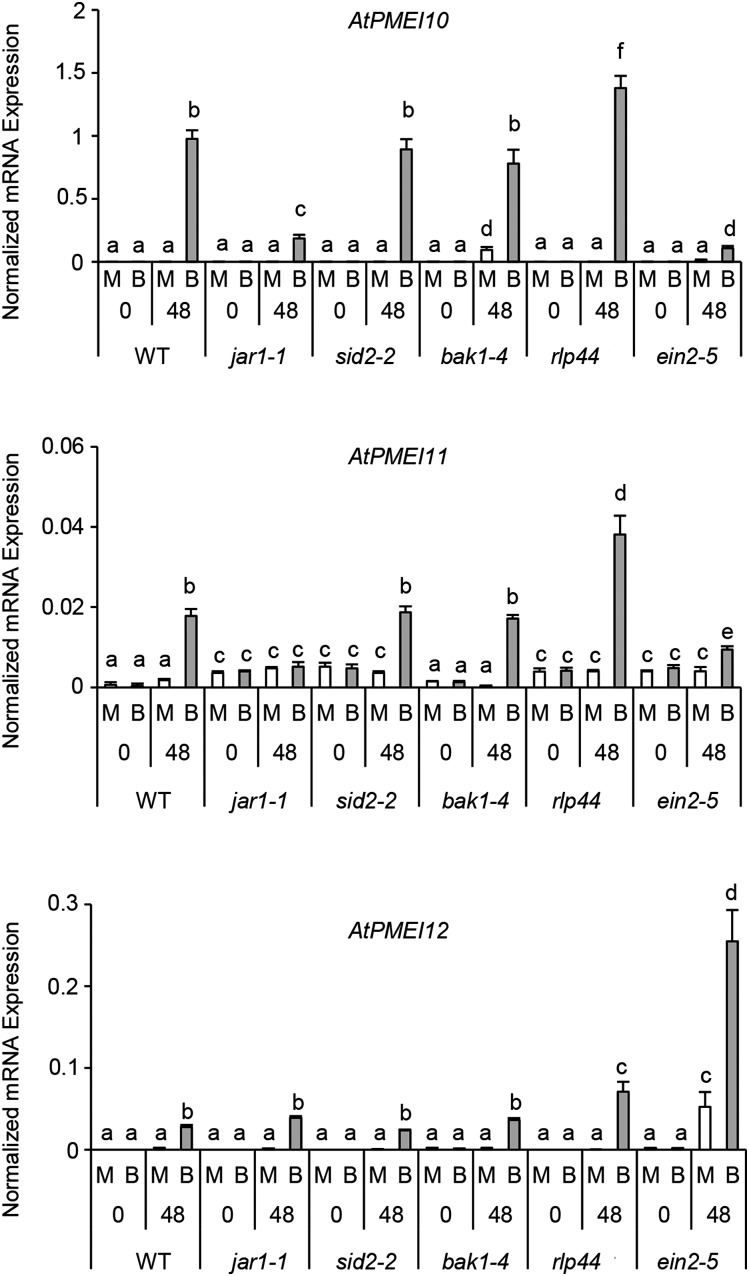 Figure 5.