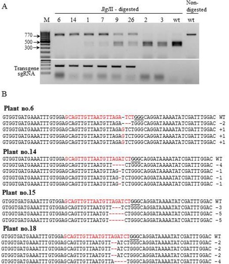 Figure 4