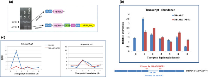 Fig. 4