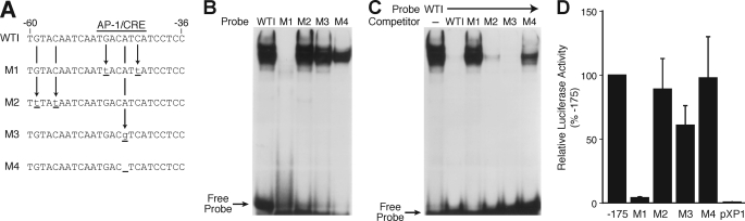 FIGURE 4.