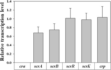 Fig. 4