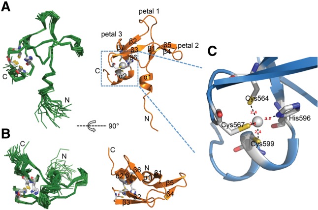 FIGURE 2.