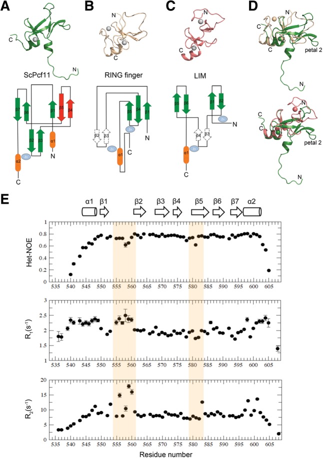 FIGURE 3.