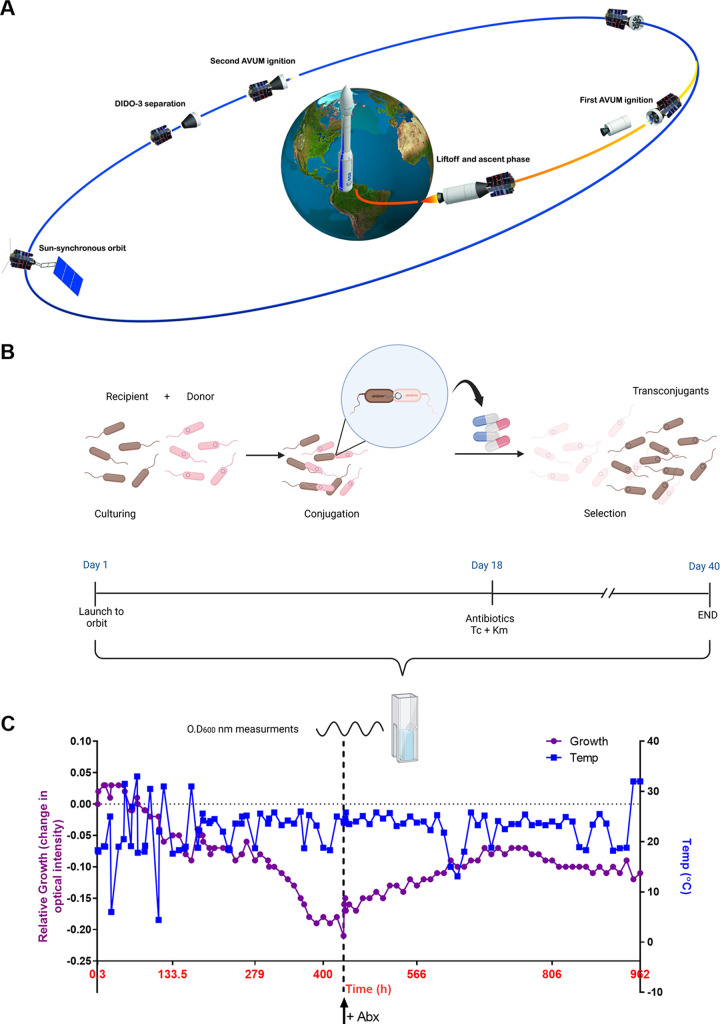 FIG 2