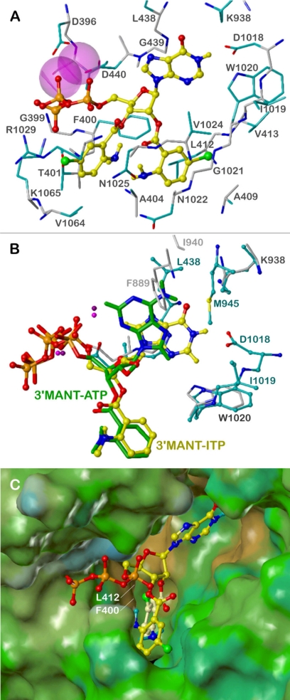 Fig. 5.